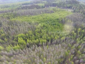 DJI_0060
