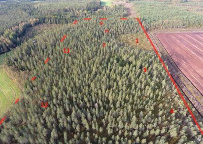 Kaustinen Mikkolantie 13,9 ha