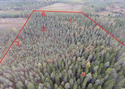 Kaustinen Palojärventie  10,14 ha