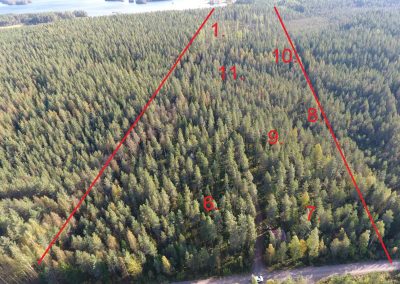 Kaustinen Lehmäjärventie 10,0 ha