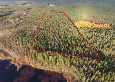 Kyyjärvi 26,31 ha