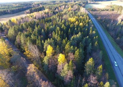 Kokkola 2,5 ha metsätila