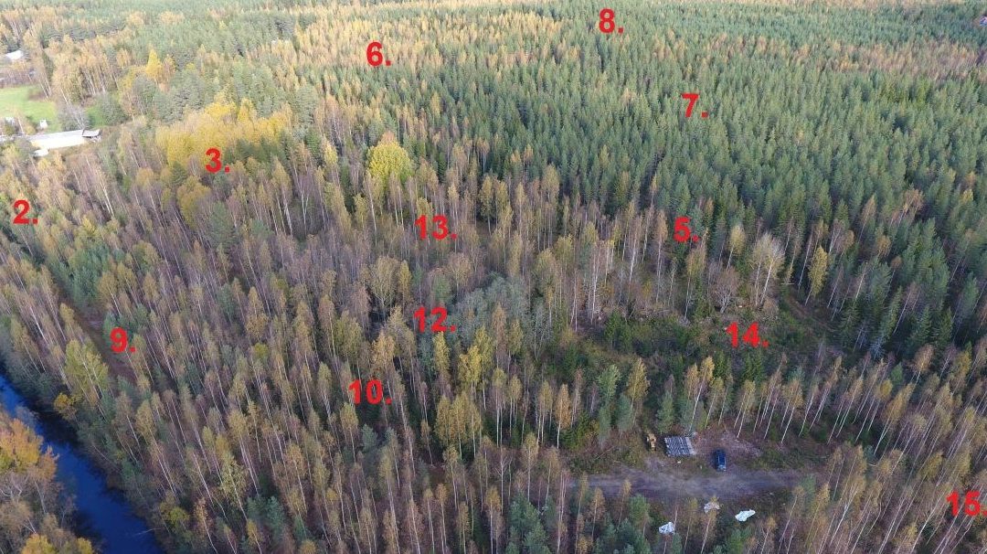 Topo dronekuva tilasta