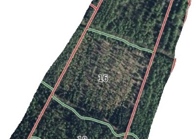 Kälviä 6,6 ha metsäpalsta