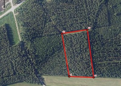 VETELI Räyrinki metsäpalsta 2,78 ha