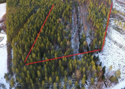 Kannus, 4,63 ha metsätila