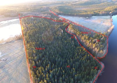 VETELI Patananjoki metsäpalsta 9,11 ha