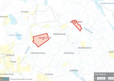 Kaustinen 73,87 ha metsätila