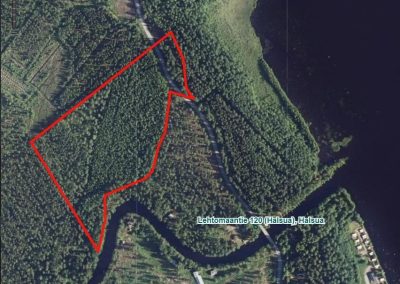 Halsua 4,5 ha metsätila, Lehtomaantie