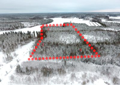 KAUSTINEN 3,1 ha polttopuutila