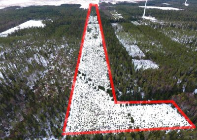 Kalajoki 7,24 ha metsätila