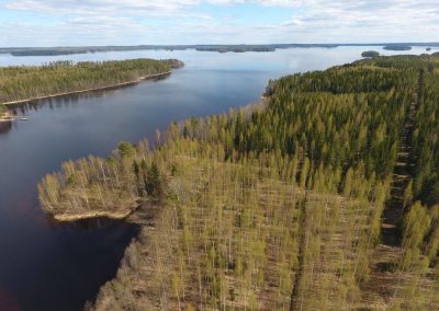 Kivijärvi, rantatila 3,45 ha