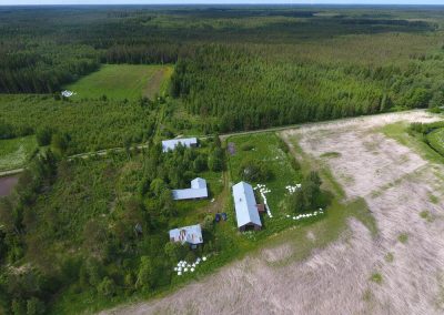 Maalahti maa- ja metsätila 9,05 ha