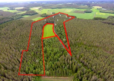 Kaustinen metsämääräala n. 11,5 ha