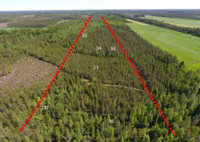 Vimpeli metsämääräala 14,6 ha