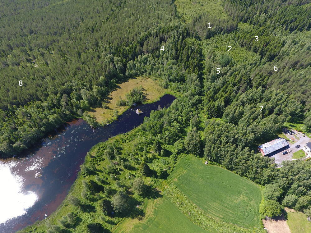 Dronekuva 1 kuvioilla Dronekuva 1 kuvioilla