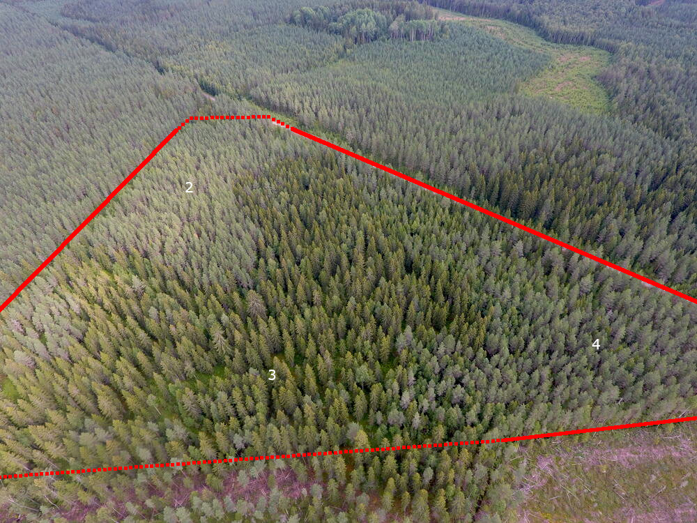Ilmakuva Linnus 6 Ilmakuva Linnus 6 metsämääräala