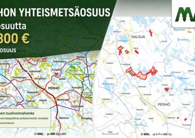 Perhon yhteismetsäosuus 138 kpl