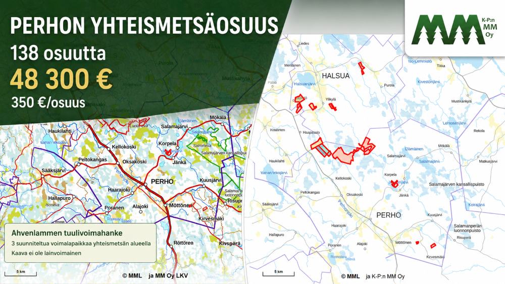 Perhon ym osuus myynnissä