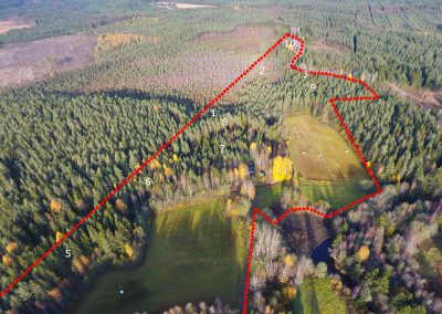 Kaustinen metsä- ja peltotila, sis. kesämökki