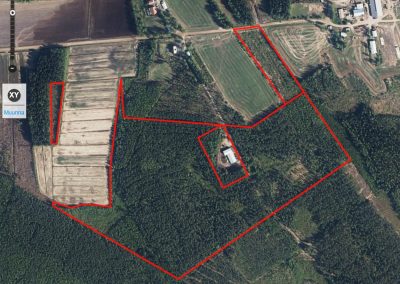 Kruunupyy, kaksi metsätilaa 18,4 ha