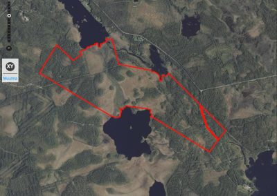 YLITORNIO 168,43 ha metsätila