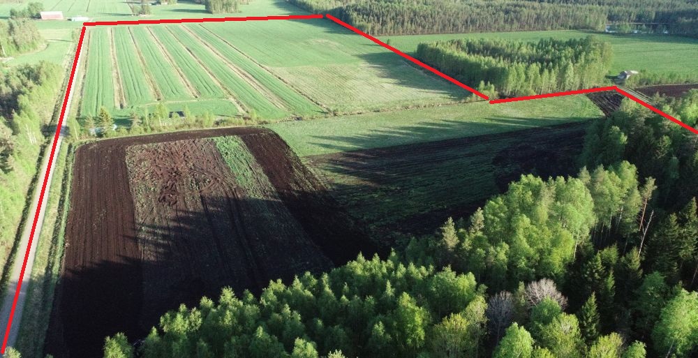 Rautiossa
