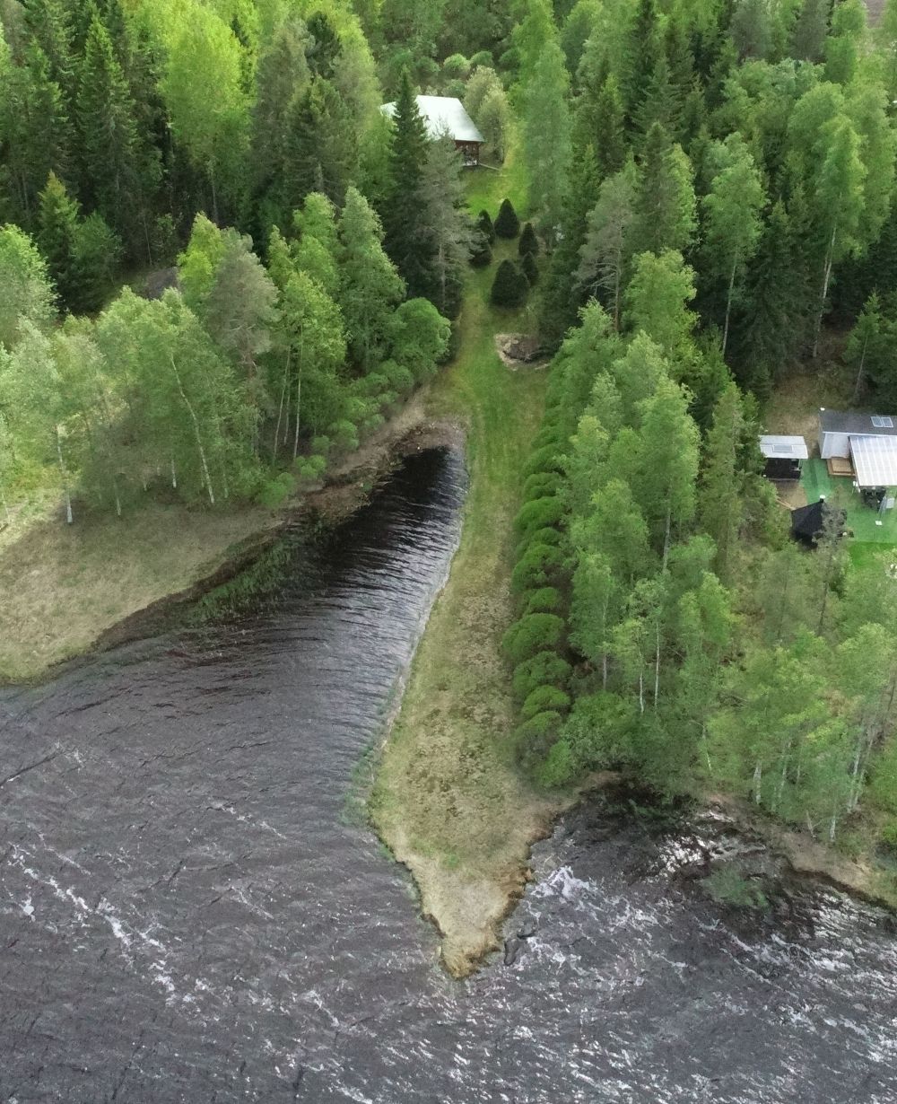 järven suunnasta