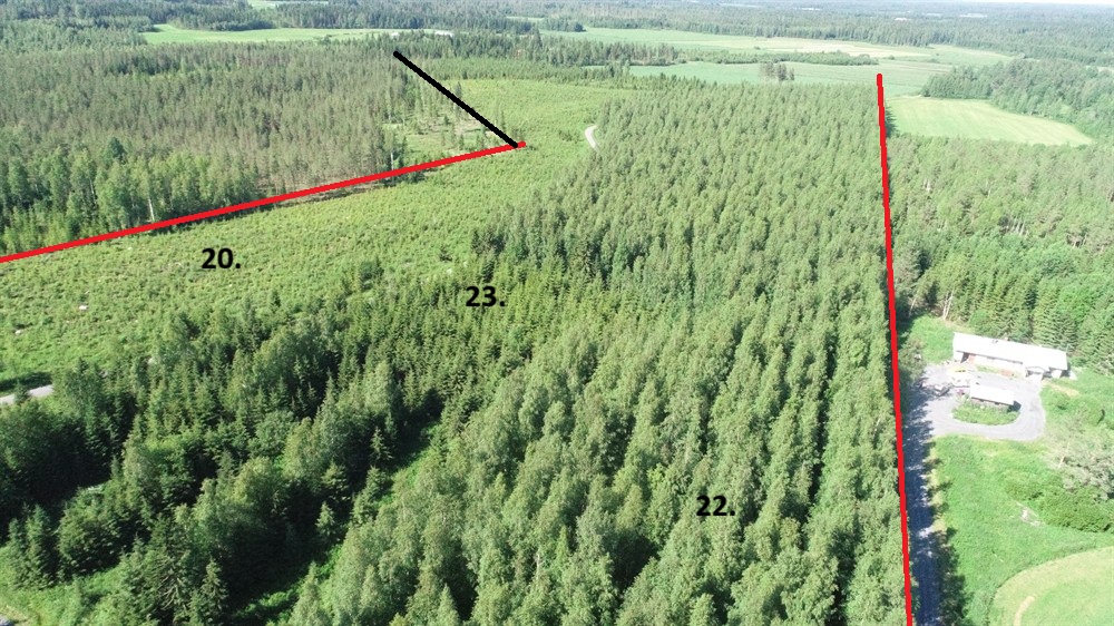 metsätila
