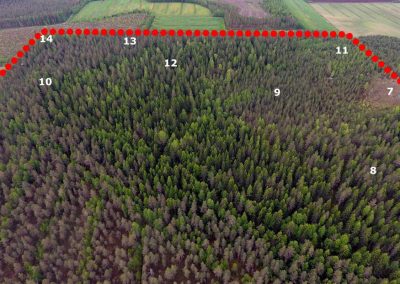 Veteli 36 ha metsätila 95000 €