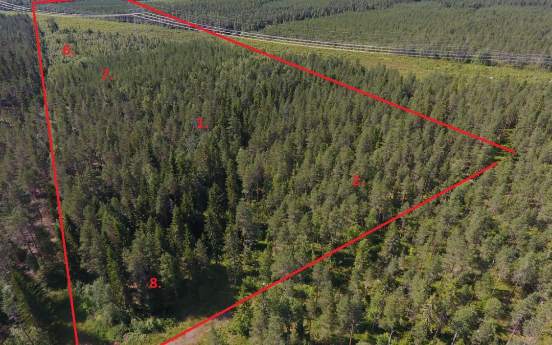 Drone ilmakuva hyvin hoidetusta, eri kehitysluokkia sisältävästä metsätilast