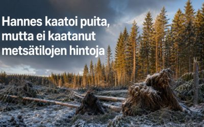 Hannes kaatoi puita, mutta ei kaatanut metsätilojen hintoja