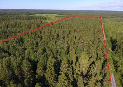 Koivuranta määräosa 10/16 – metsätila 16,5 ha Kalajoki, 75 000 €