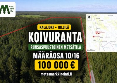 Koivuranta määräosa 10/16 – metsätila 16,5 ha Kalajoki,100000 €