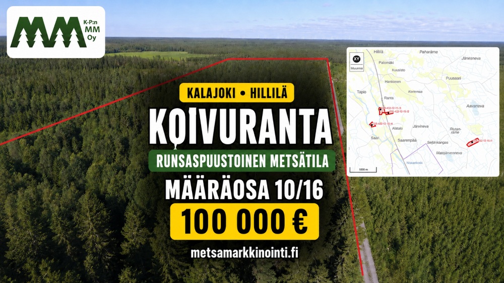 Koivuranta määräosa 10/16  100.000 €