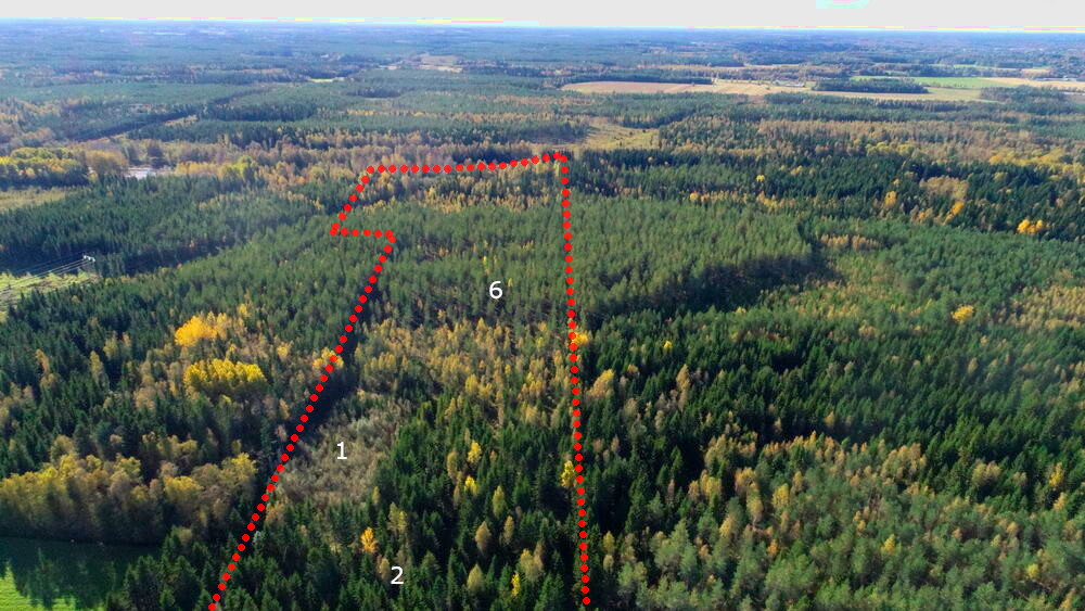 metsätila
