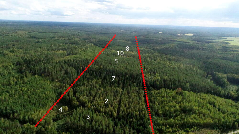 metsä