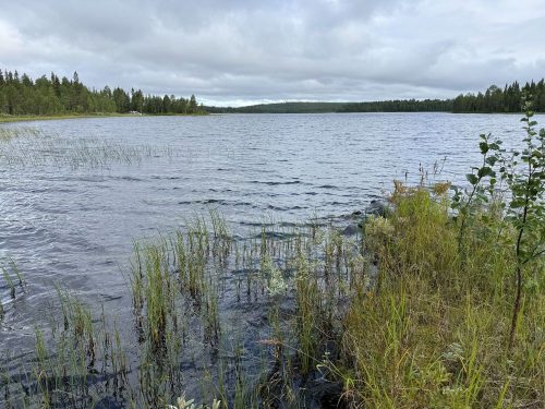 Omarantainen mökki ja sauna Kuntijärvellä, Kuusamo | 60 000 €