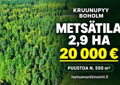 Metsätila 2,9 ha | Kruunupyy Boholmintie | 20 000 €