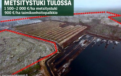 Metsitystuki on palaamassa – uusi mahdollisuus entisille turvetuotantoalueille