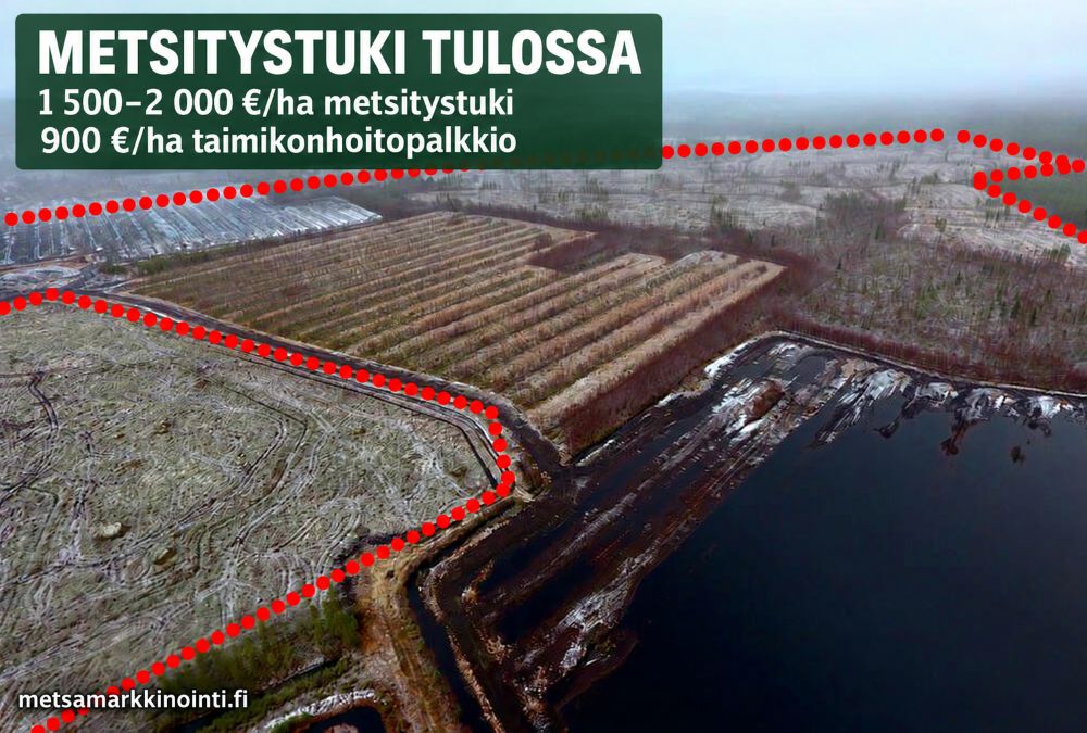 turvealueen metsitystuki tulossa 2027